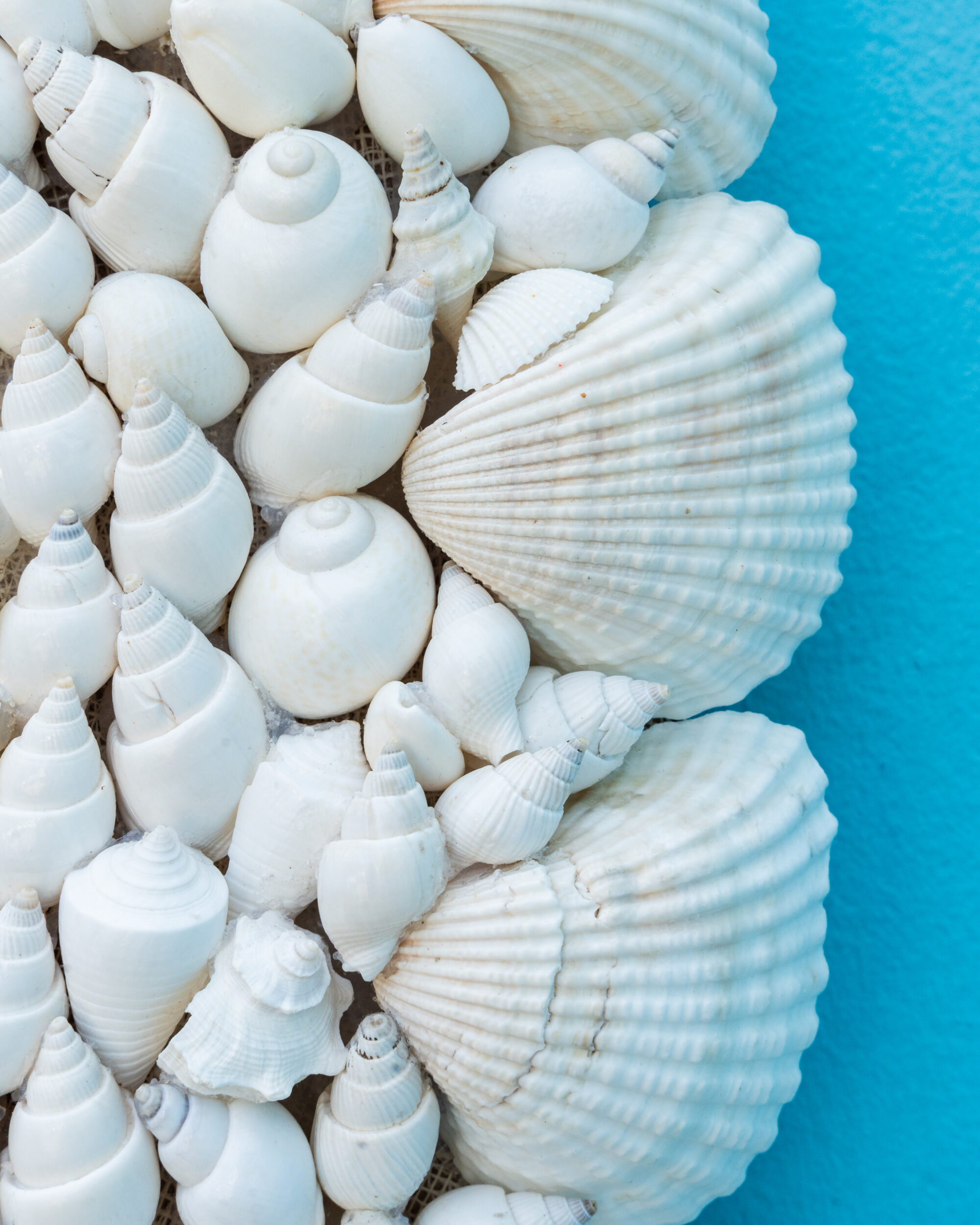 les-ottomans-shell-spiegel-shm05-handgemacht-mit-muscheln image 2