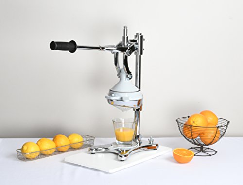 louis-tellier-n4098-super-professionelle-zitruspresse-verchromter-stahl-edelstah image 4