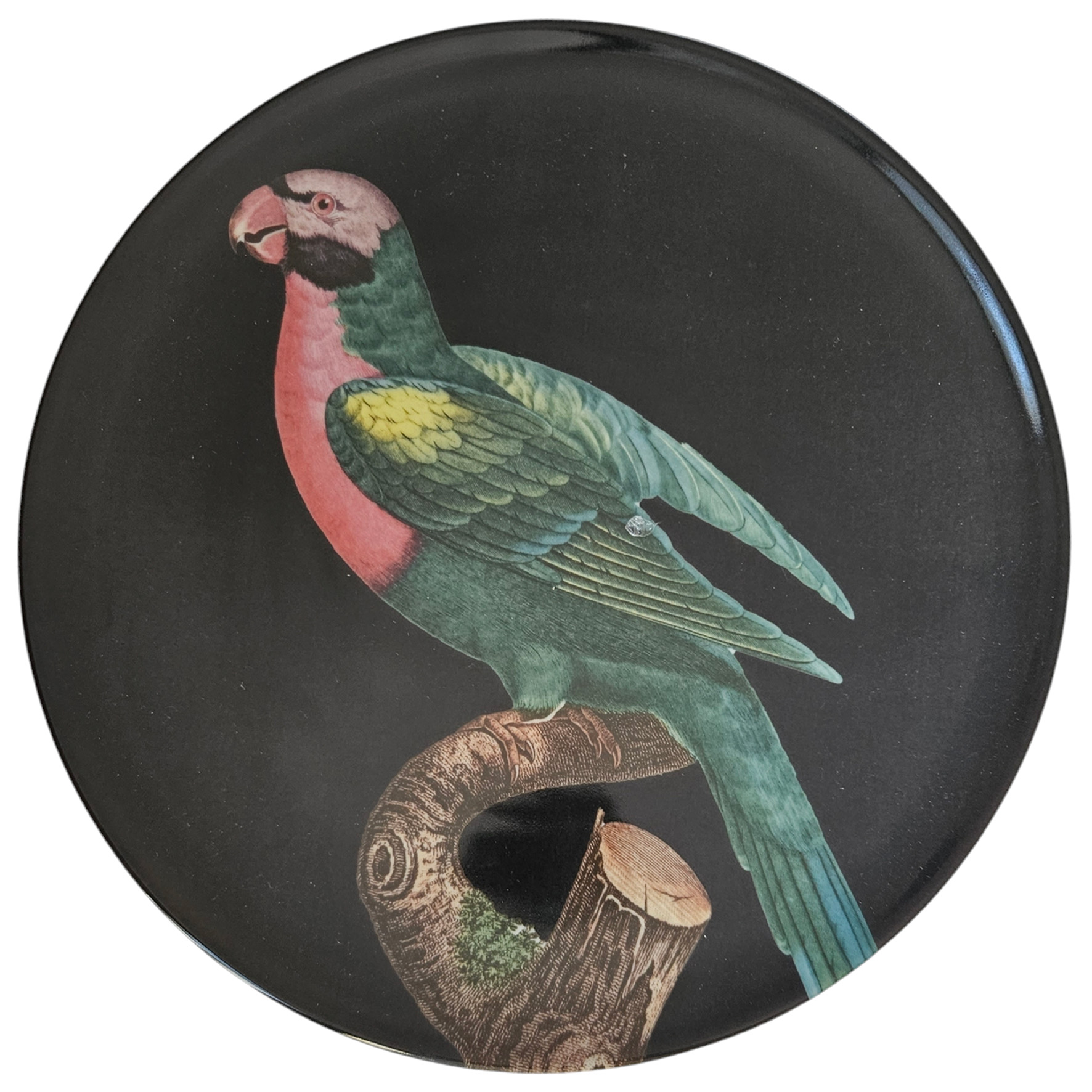 les-ottomans-the-black-collection-dessertteller-porzellan-pink-parrot image 1