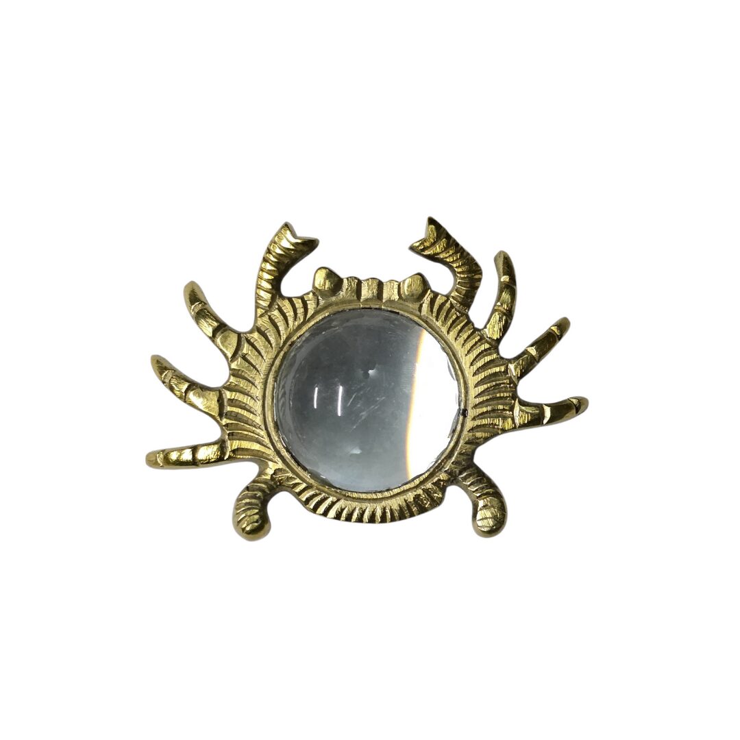 les-ottomans-crab-mgl03-lupe-aus-aluminium image 1