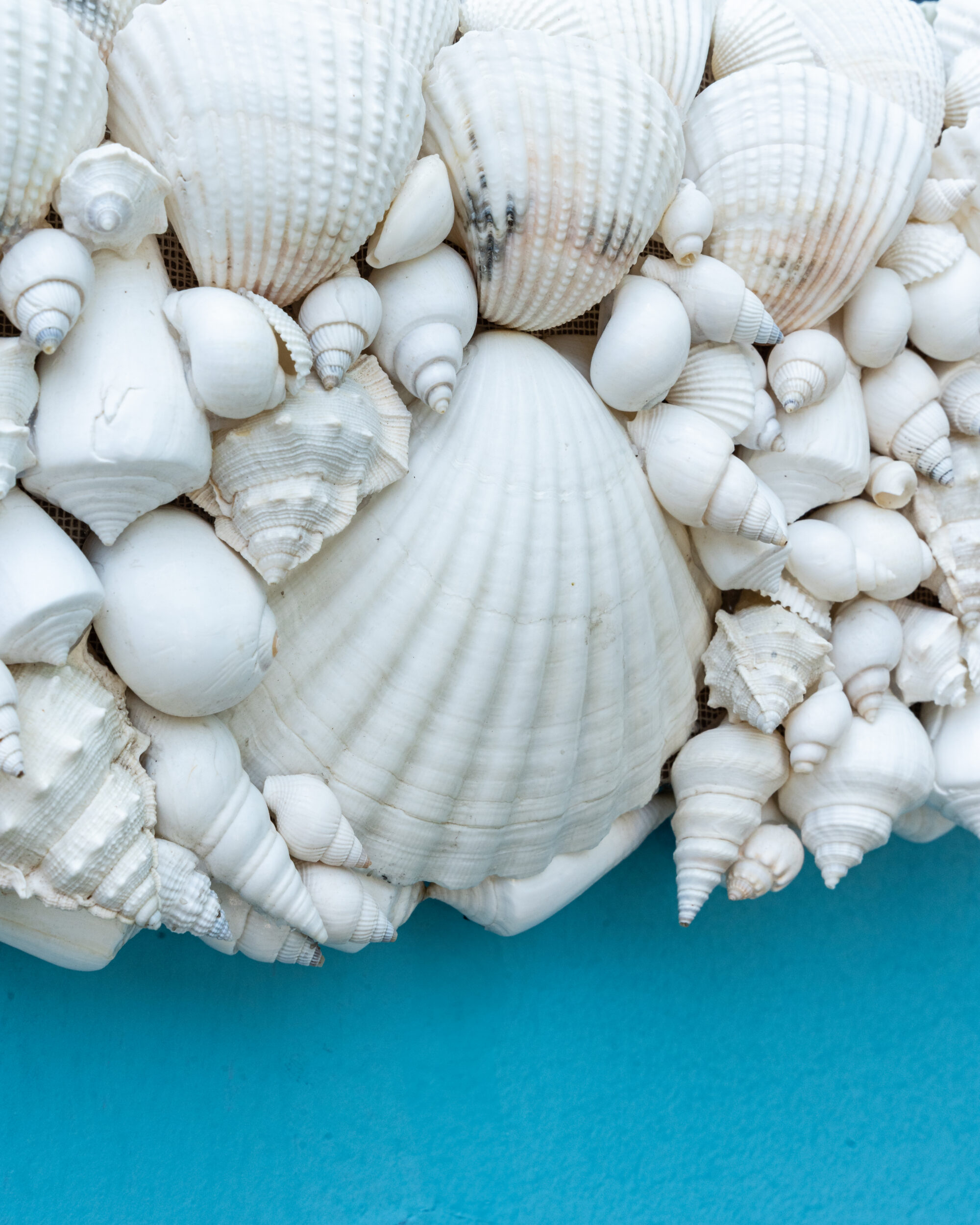 les-ottomans-shm01-spiegel-mit-muscheln-handgemacht image 2