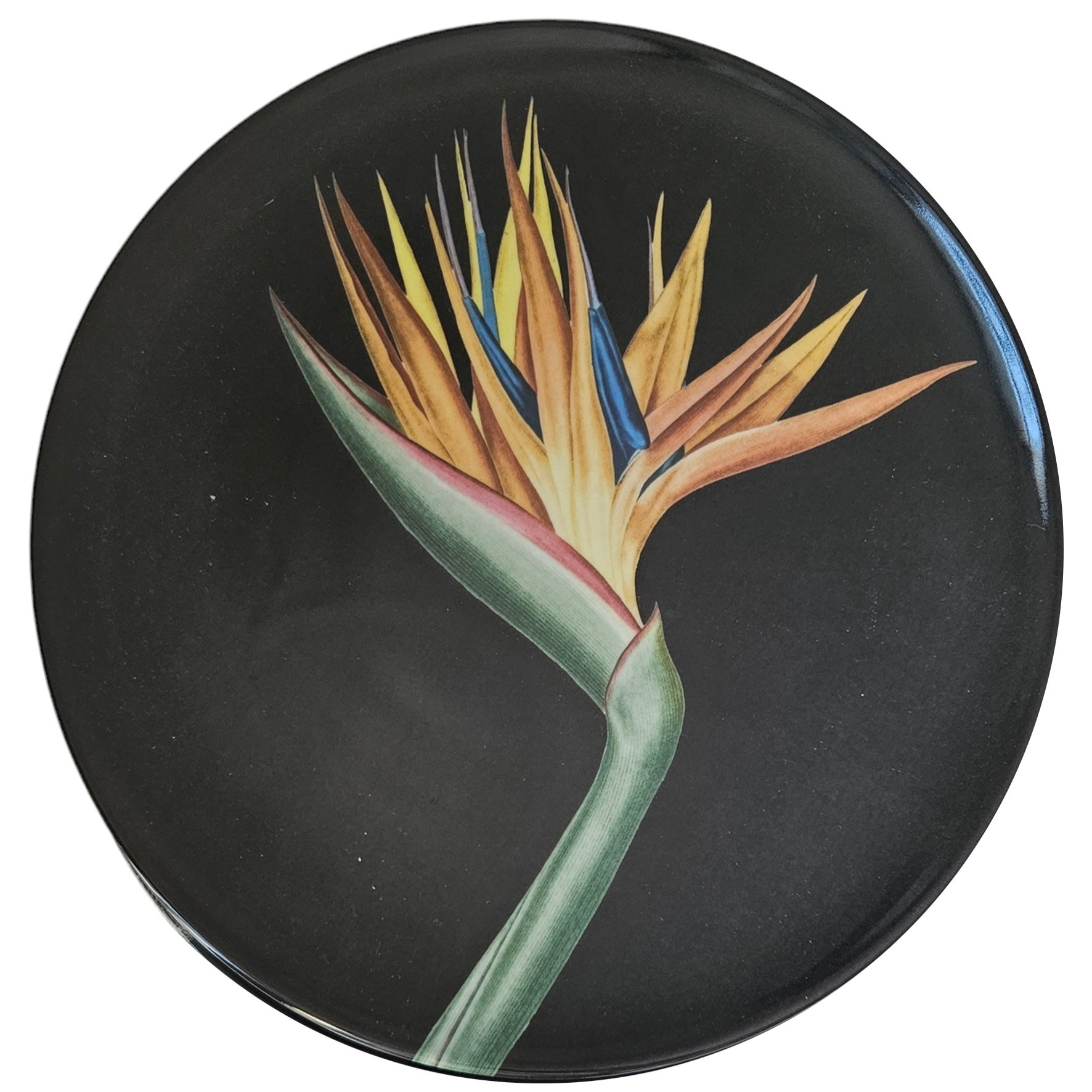 les-ottomans-the-black-collection-dessertteller-porzellan-bird-of-paradise image 1