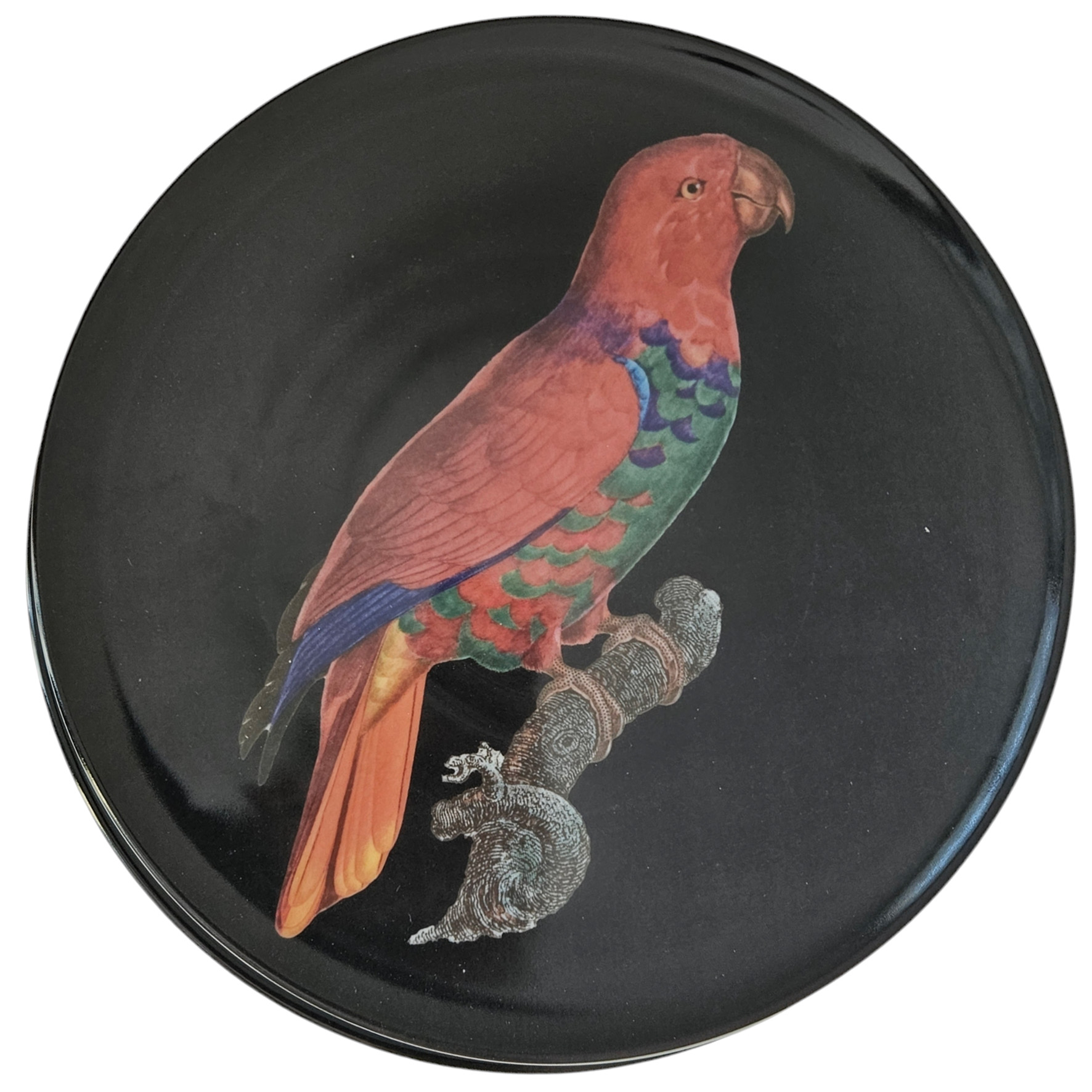 les-ottomans-the-black-collection-porzellan-dessertteller-red-parrot image 1