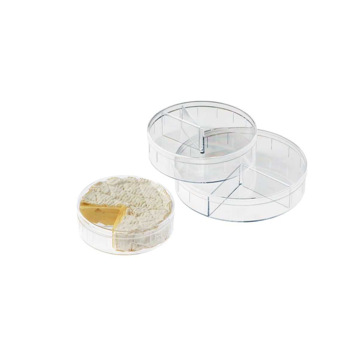 la-bonne-graine-camembert-dose-acryl-11-5-x-11-5-x-3-cm image 2