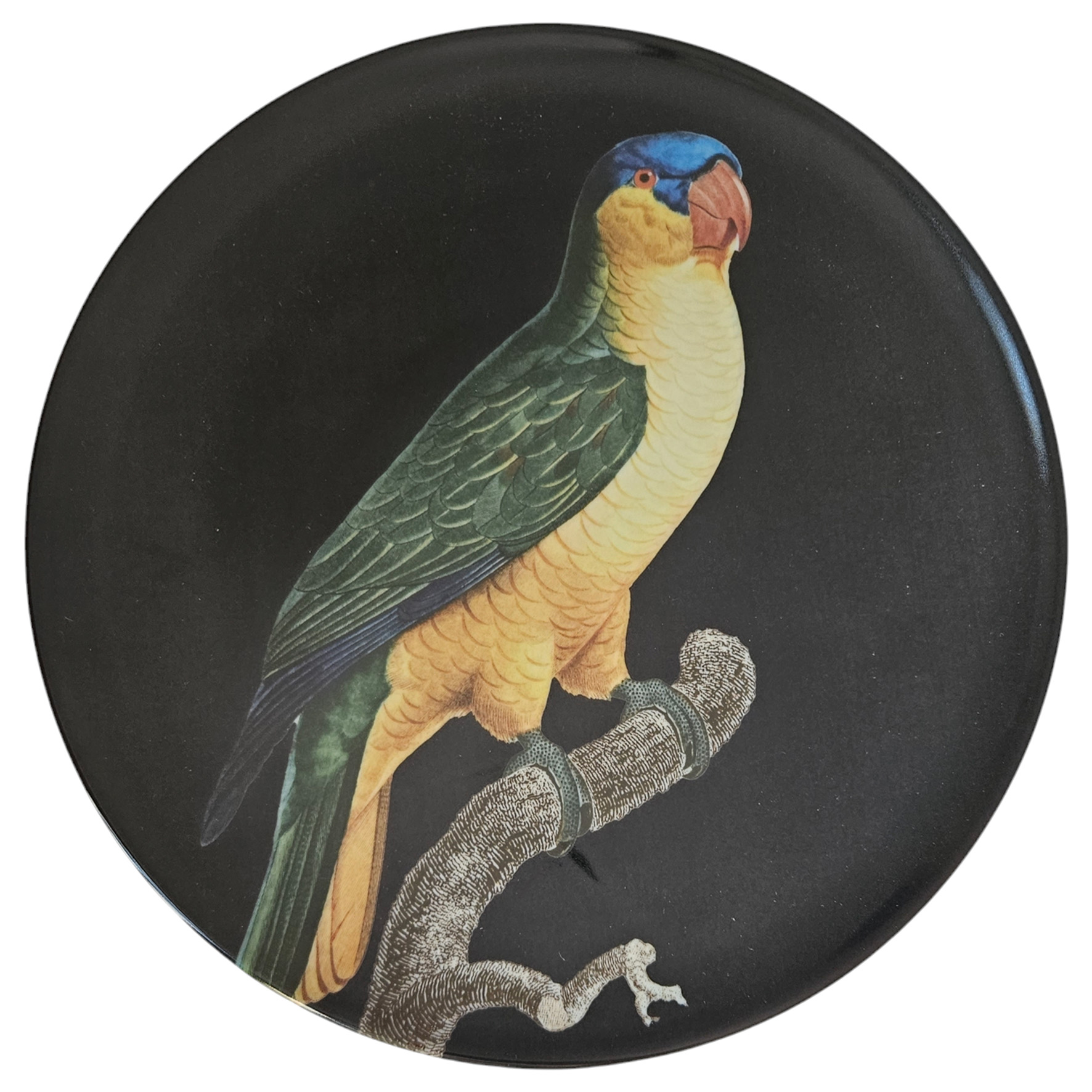 les-ottomans-the-black-collection-dessertteller-porzellan-yellow-parrot image 1