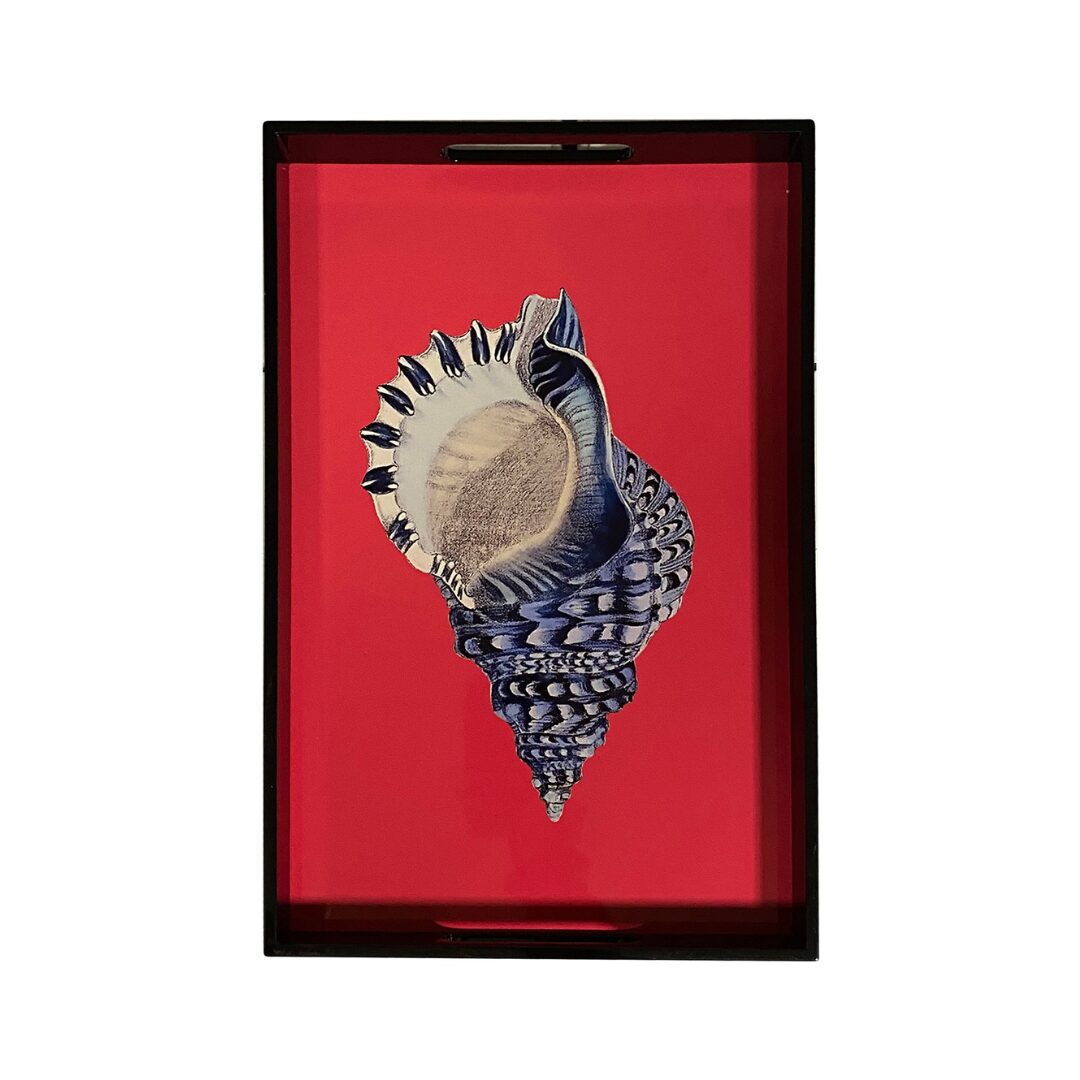 les-ottomans-lt16-tablett-aus-holz-lackiert-muschel-mit-griffen image 1
